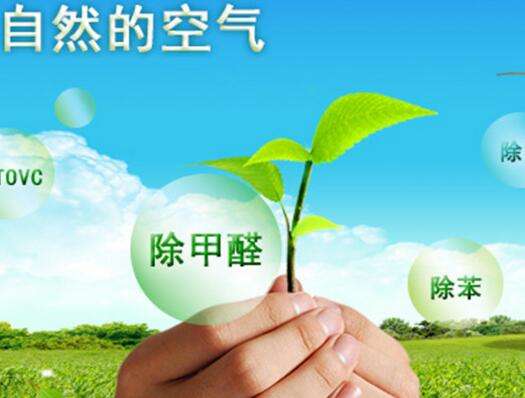 装修除甲醛的有效方法和无效方法