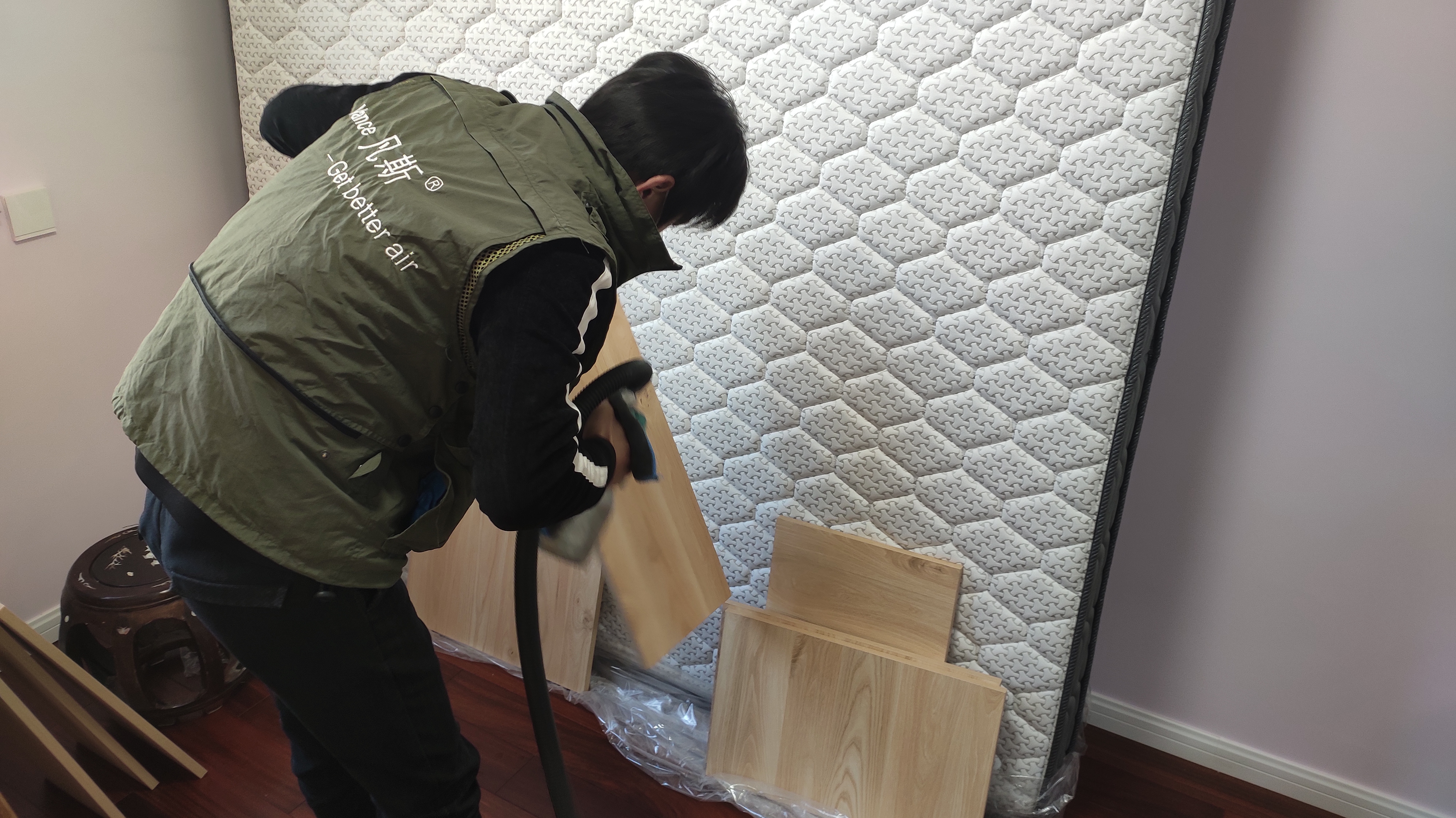 绿萝能除甲醛吗？对净化室内空气的帮助