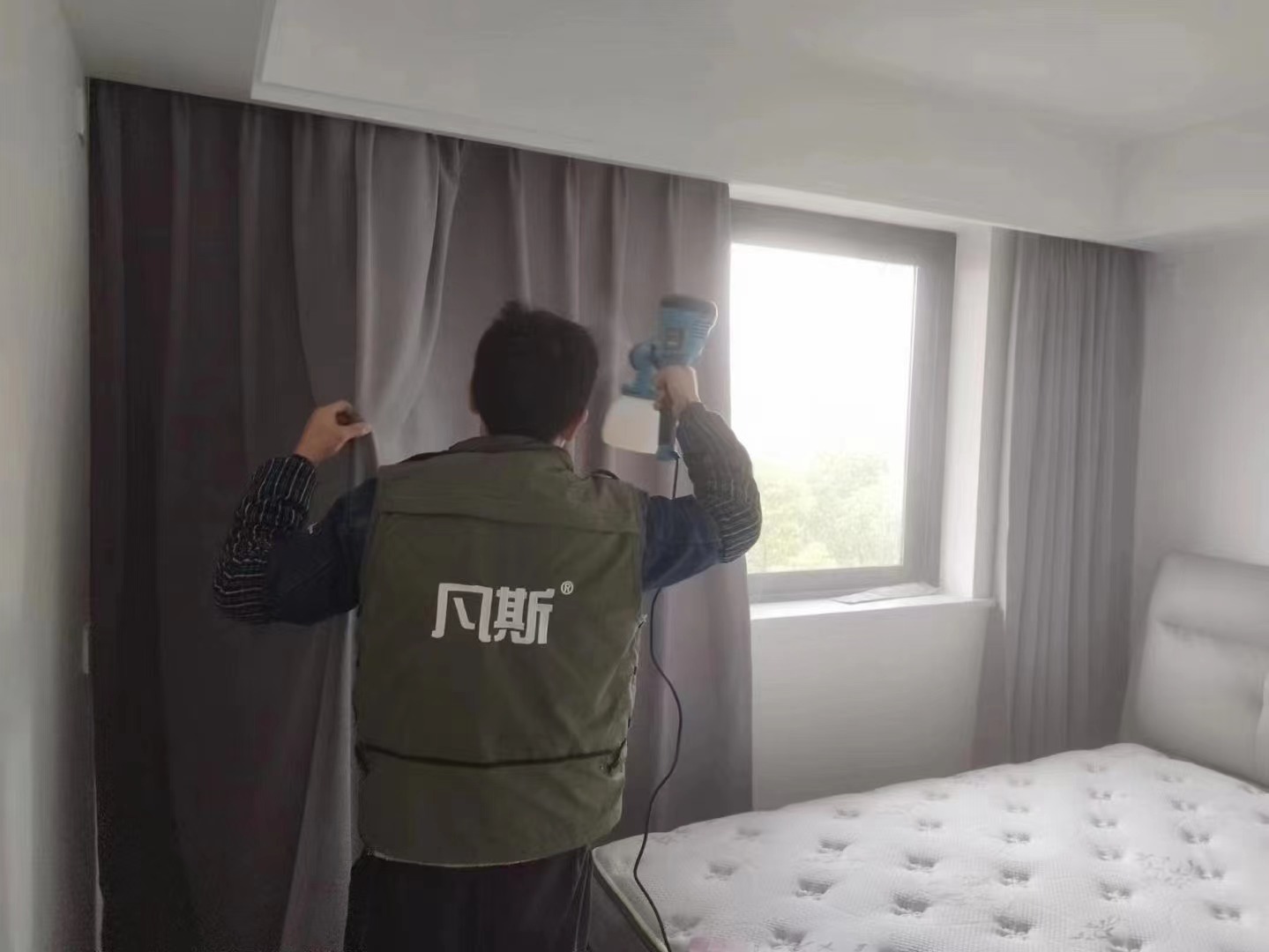 家居绿植该怎么选？好看又能清新空气