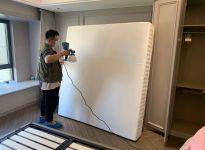 搬家后发财竹死了是甲醛超标吗