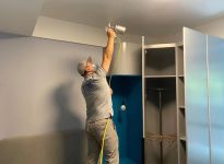 净化空气的室内盆栽植物有哪些