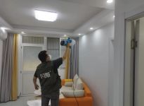 绿植除甲醛真的有效吗