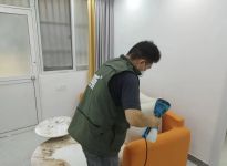 装修必备——除甲醛的经验