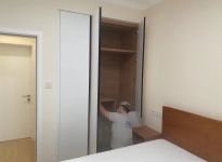 室内空气净化选什么绿植比较好