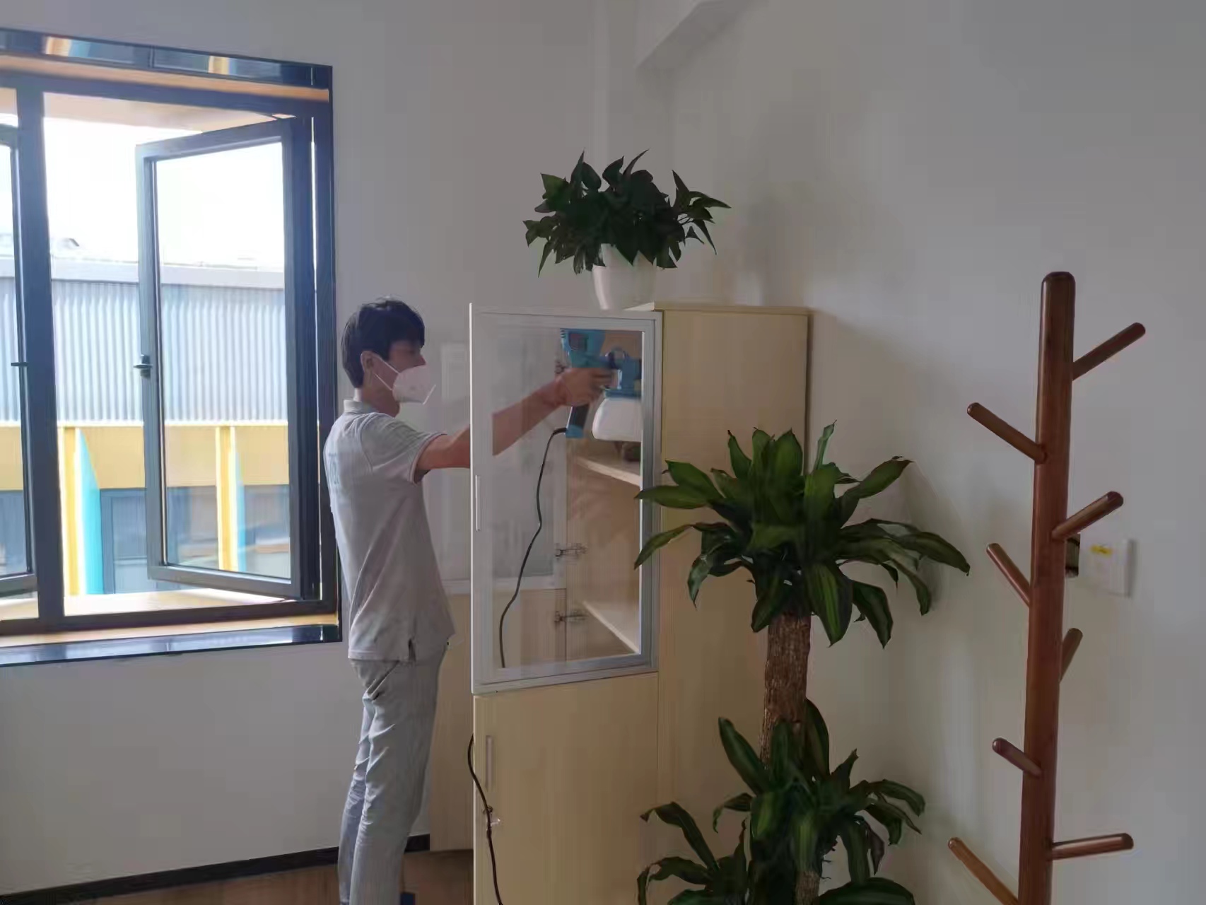 办公室怎么种植绿植