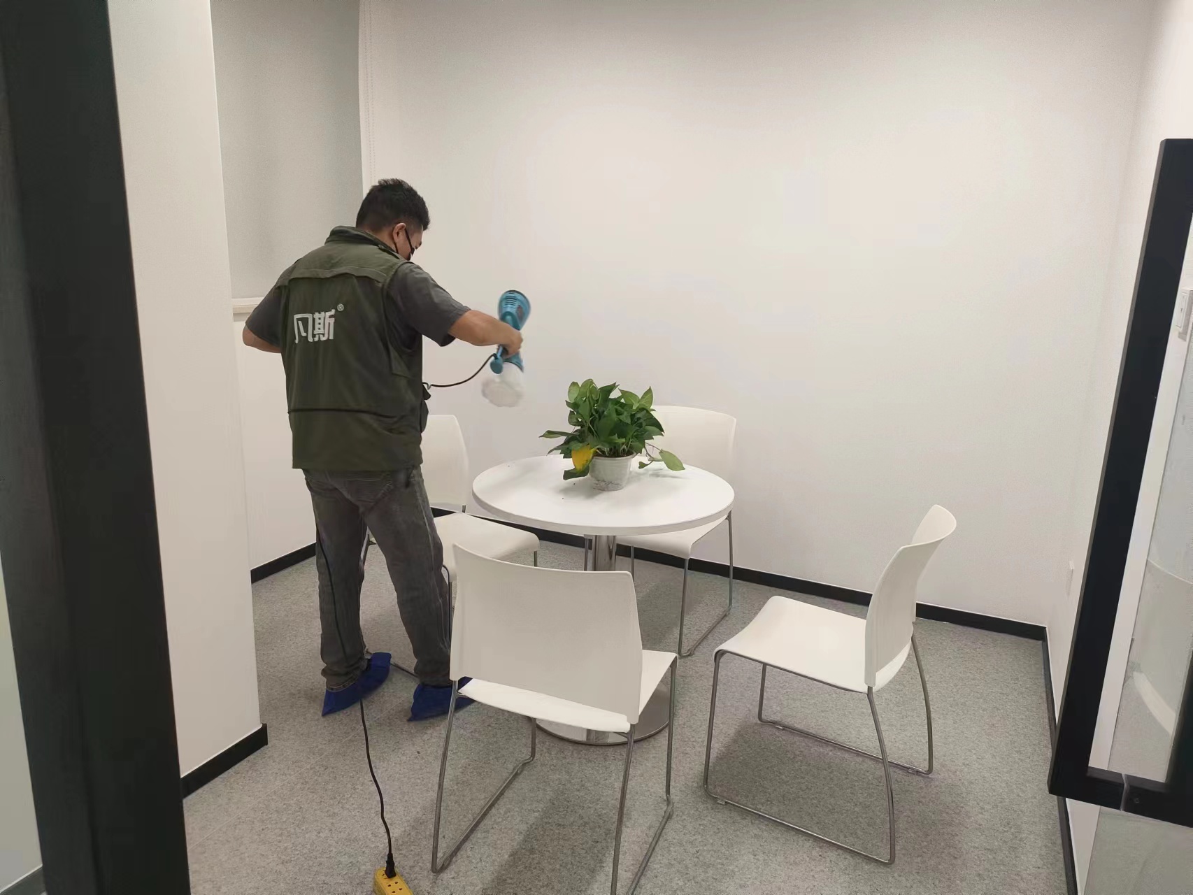 金钱树除甲醛效果好吗