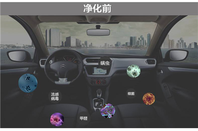 图片12_副本.png