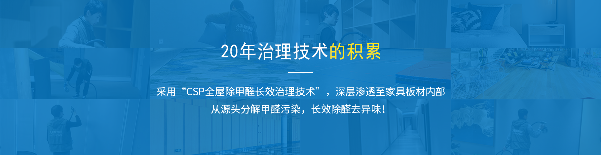 20年技术累积